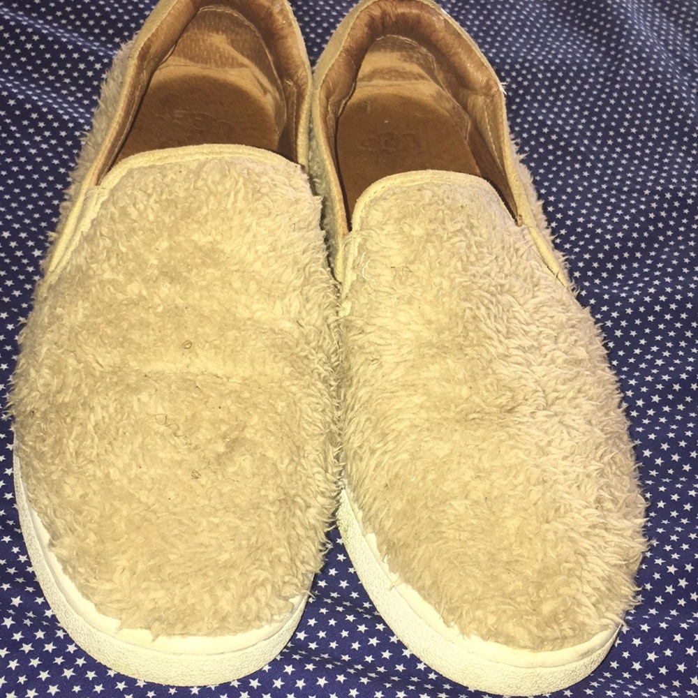 Uggs Shoes